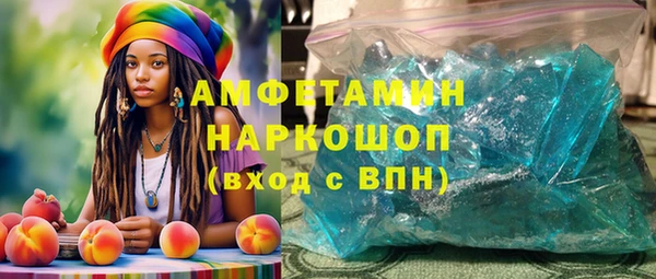 сатива Беломорск