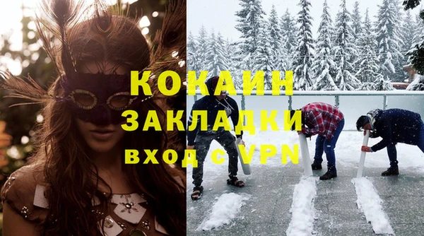 сатива Беломорск