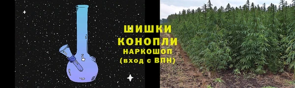 стафф Семикаракорск