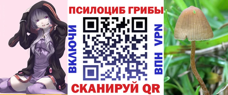 МЕГА онион  Красный Холм  Галлюциногенные грибы Psilocybe 